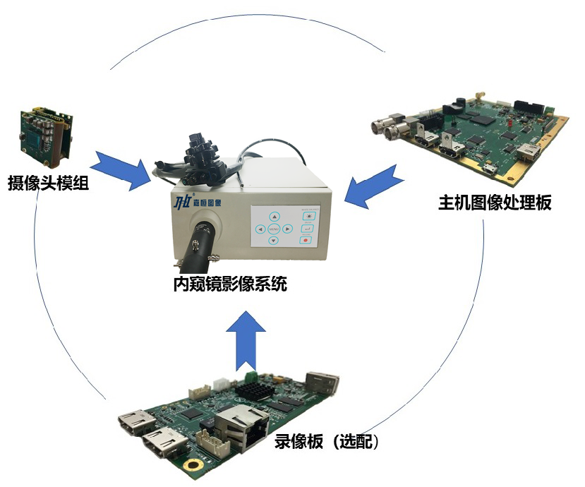 内窥镜图片.png